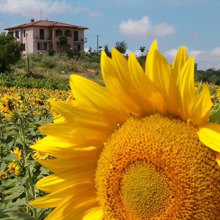 B&B Il Girasole - Rooms & House In Country - 1500 Meters From Historic Center Montepulciano Stazione Eksteriør bilde
