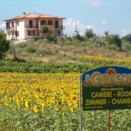 B&B Il Girasole - Rooms & House In Country - 1500 Meters From Historic Center Montepulciano Stazione Eksteriør bilde