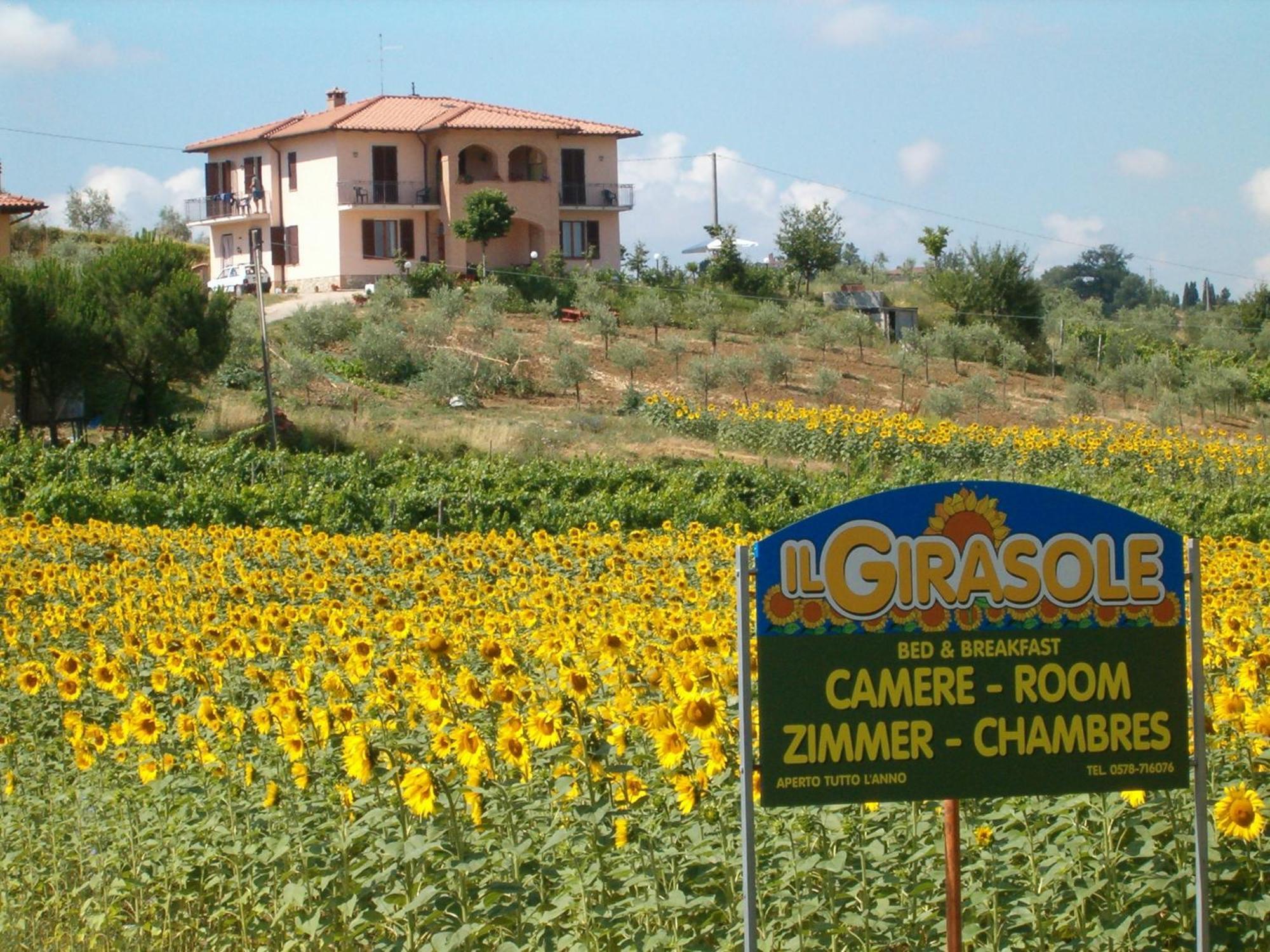 B&B Il Girasole - Rooms & House In Country - 1500 Meters From Historic Center Montepulciano Stazione Eksteriør bilde