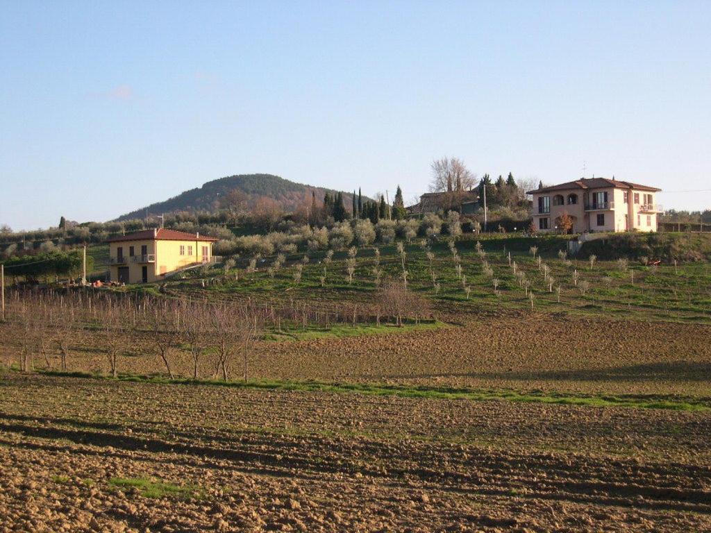 B&B Il Girasole - Rooms & House In Country - 1500 Meters From Historic Center Montepulciano Stazione Eksteriør bilde