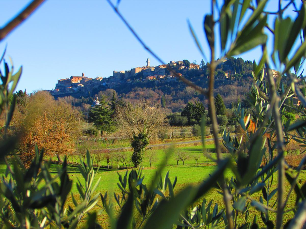 B&B Il Girasole - Rooms & House In Country - 1500 Meters From Historic Center Montepulciano Stazione Eksteriør bilde