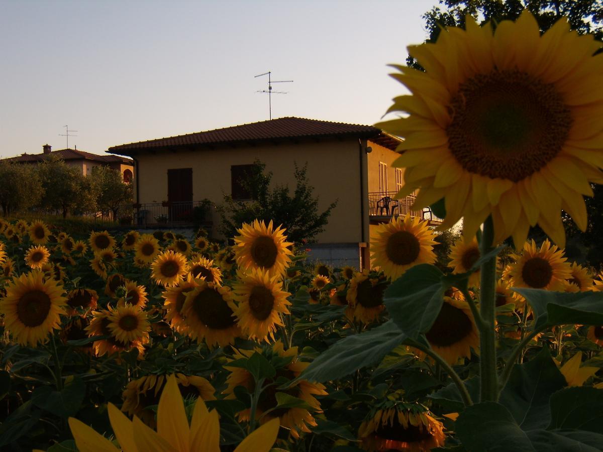 B&B Il Girasole - Rooms & House In Country - 1500 Meters From Historic Center Montepulciano Stazione Eksteriør bilde